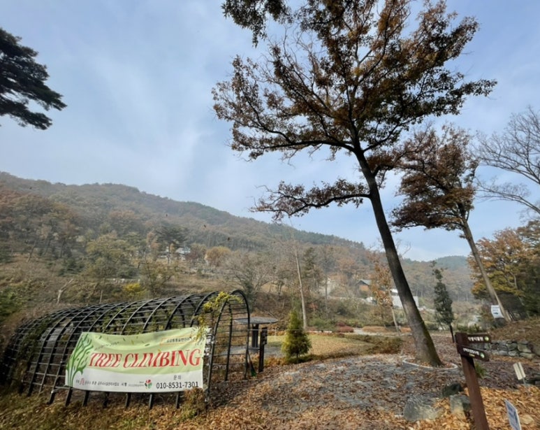 공주산림휴양마을 유아숲체험원 이미지