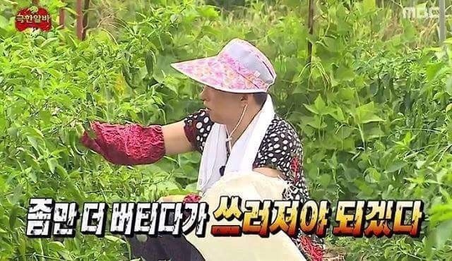 코코카이 이미지