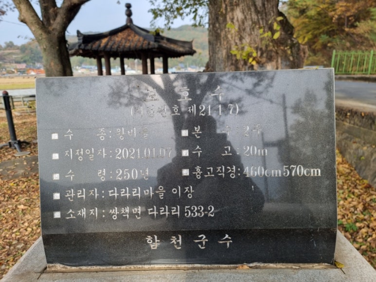 정방주 이미지