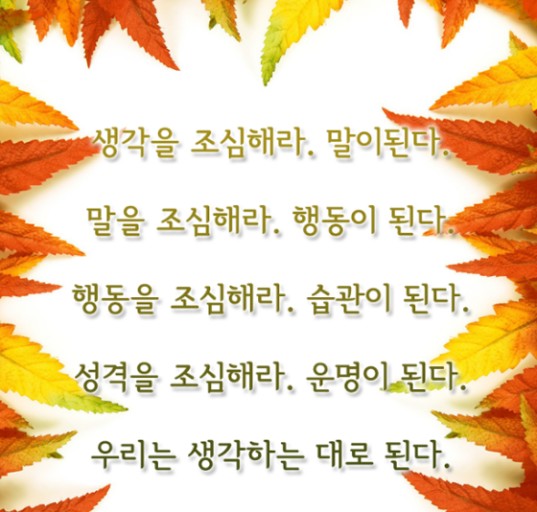 세종카메라 이미지