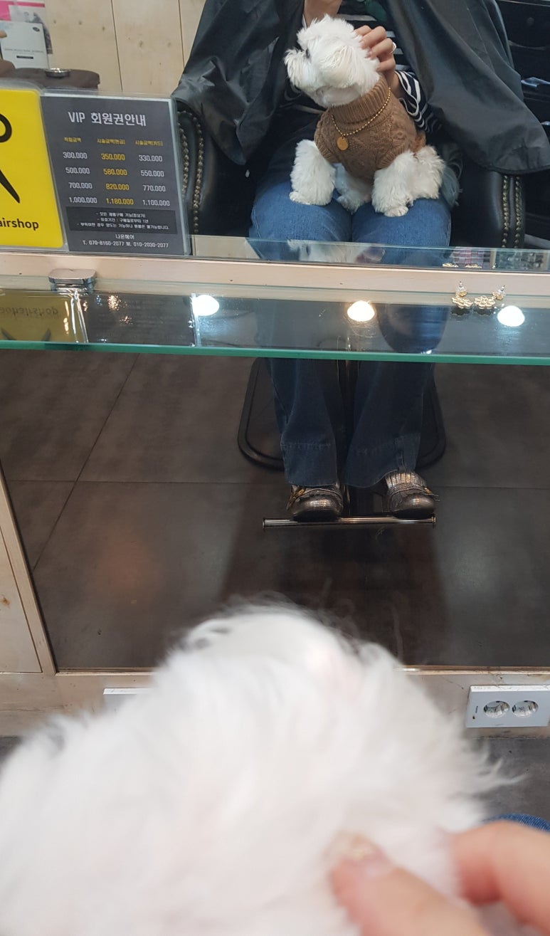 나윤헤어 이미지