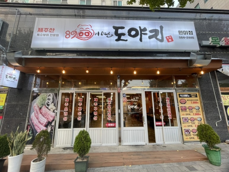 8900이면도야지 이미지
