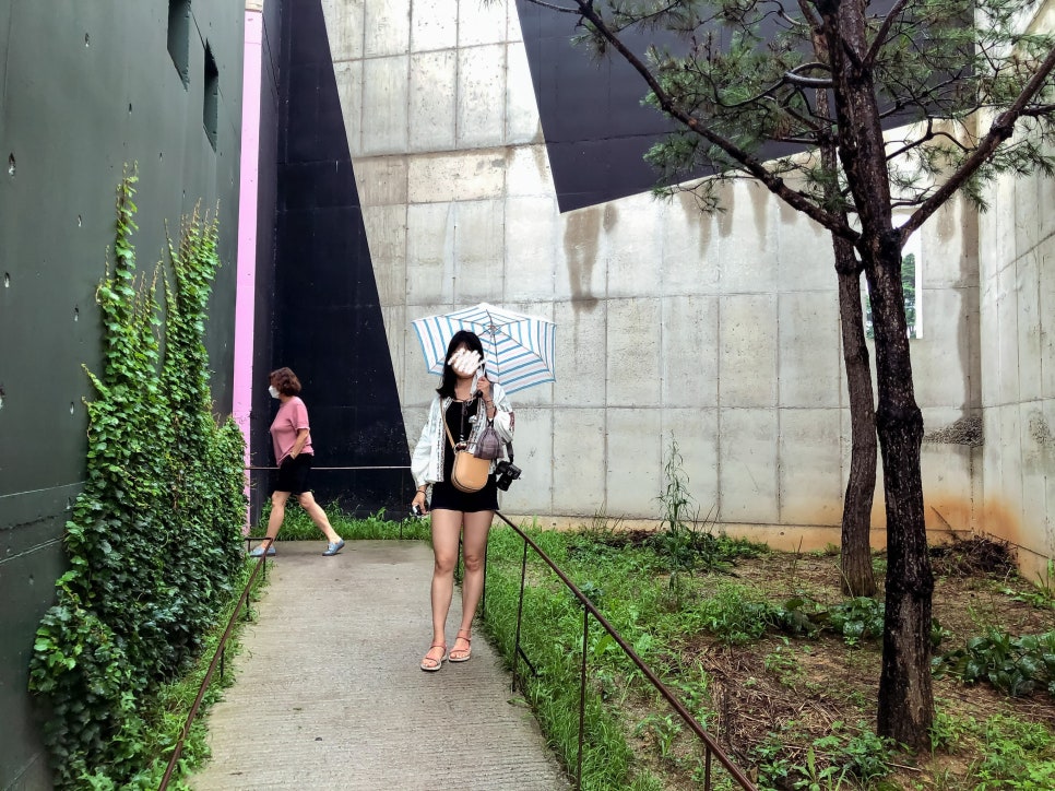 경포2호 이미지
