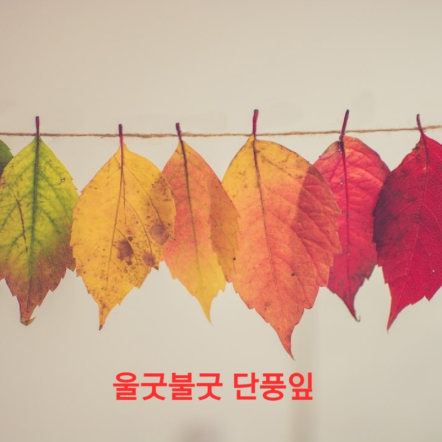 세정용역 이미지