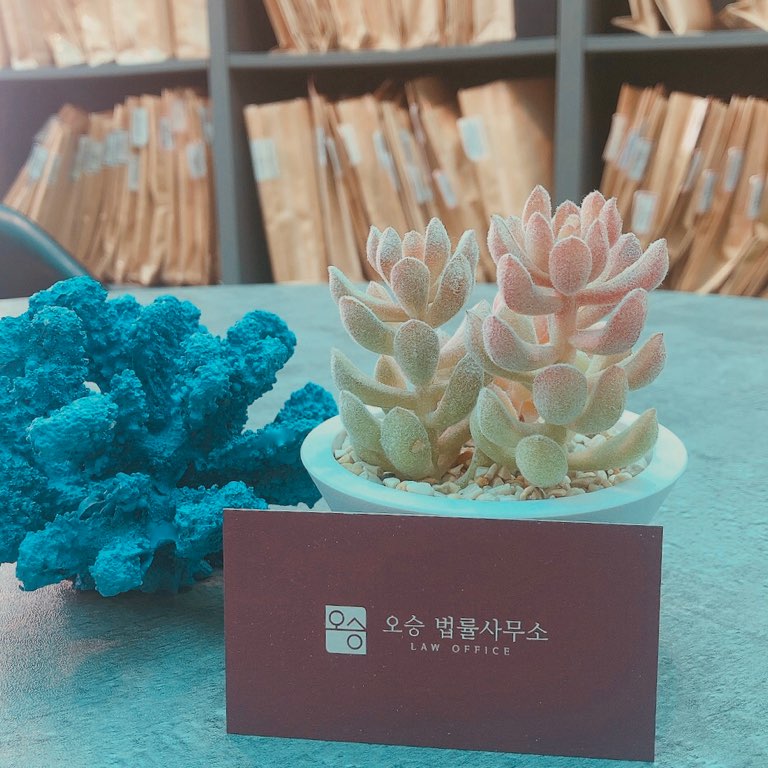 오가피싱 이미지