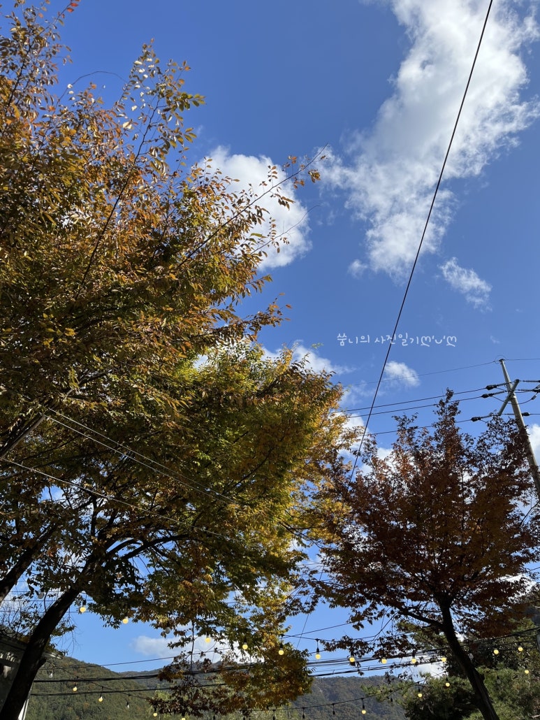 오리일번가 이미지