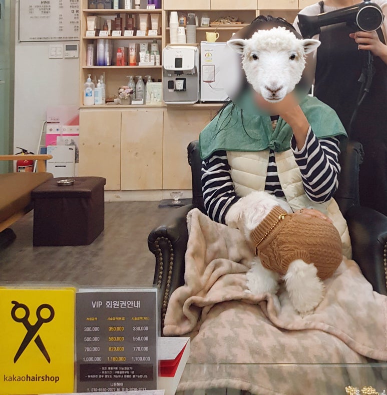 나윤헤어 이미지