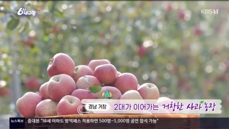 내고향사과쥬스 이미지