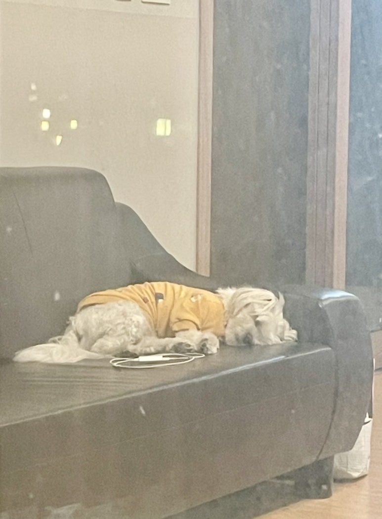 더블스테이또또멍연천 이미지