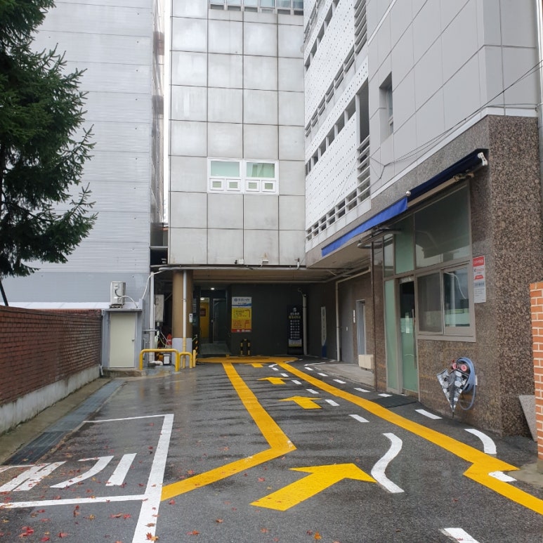 성모본치과의원 이미지