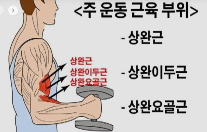 피티스미스 이미지