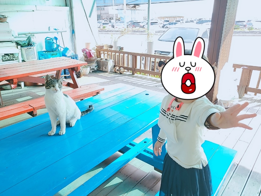 아지터식당 이미지