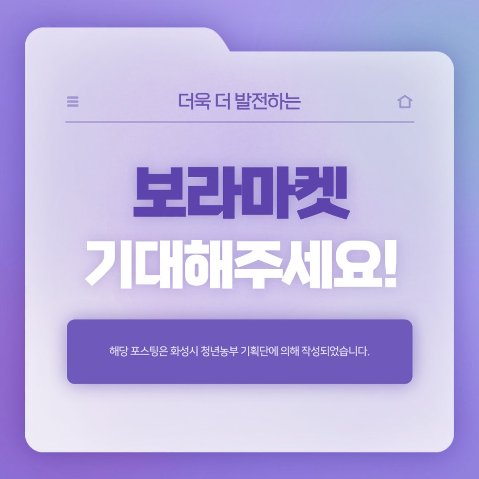 보라마켓 이미지