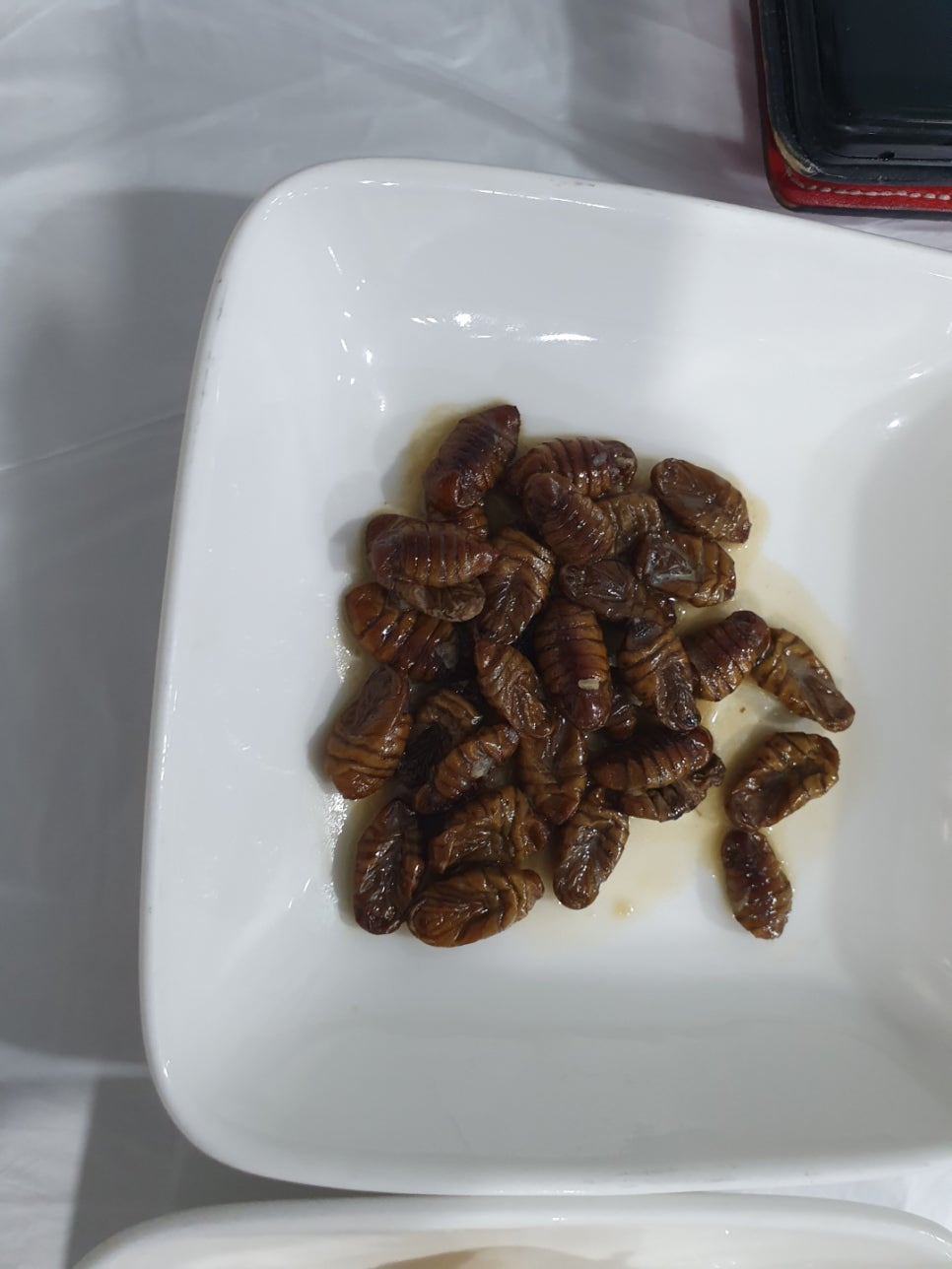 회한첨 이미지