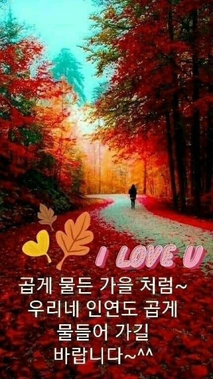 대정정보통신 이미지