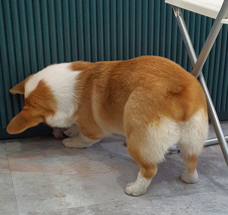 라젯트성인전문음악학원 이미지