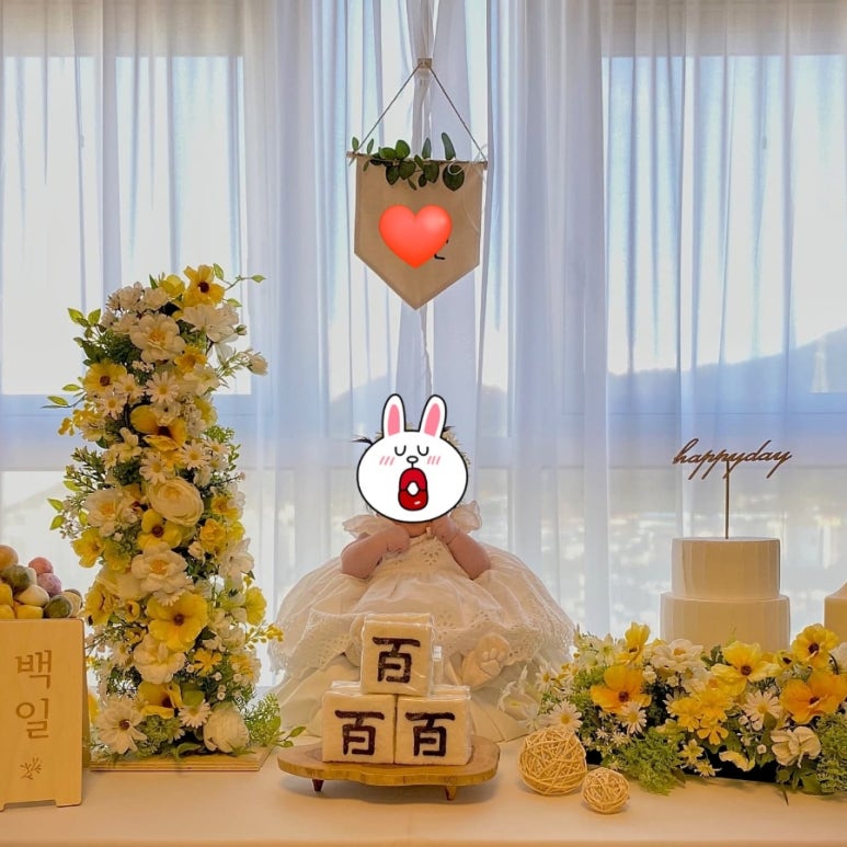 이아오아 이미지