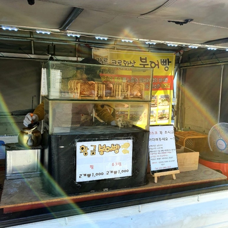 강릉크로와상붕어빵 이미지