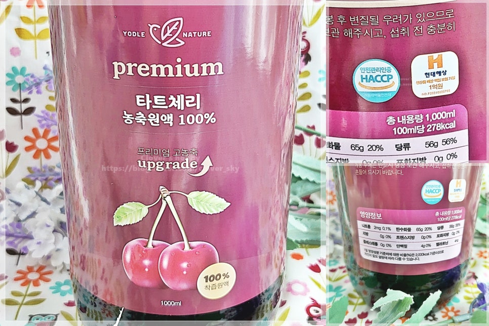 요들네이쳐 이미지