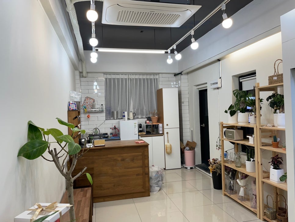 플로드마 이미지
