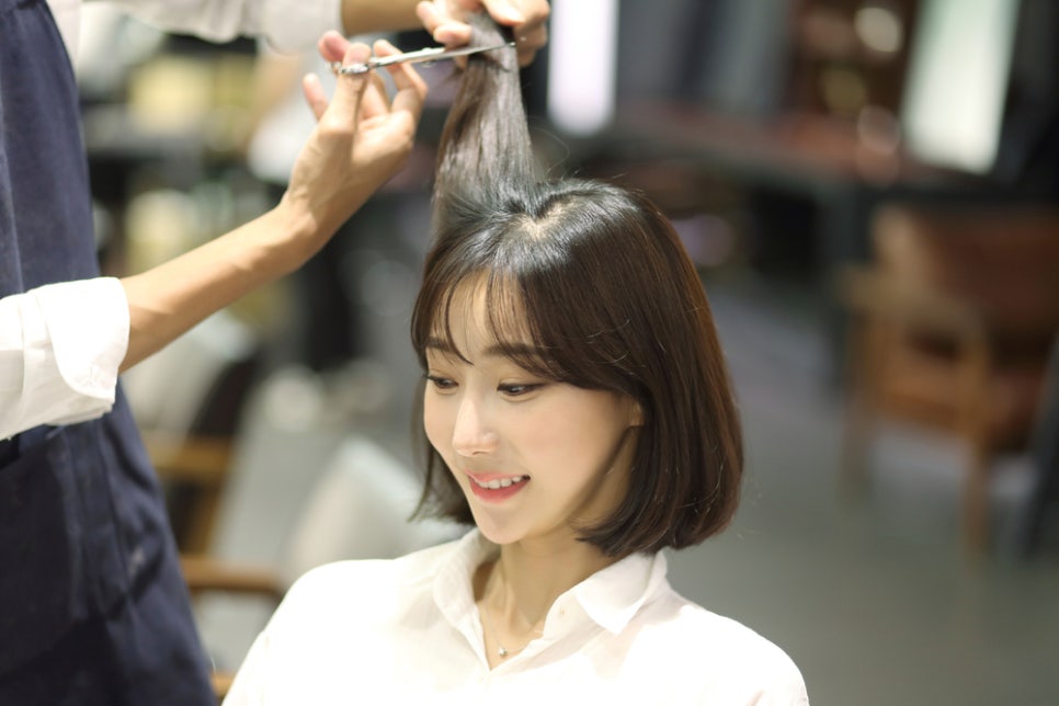 다비드헤어 이미지
