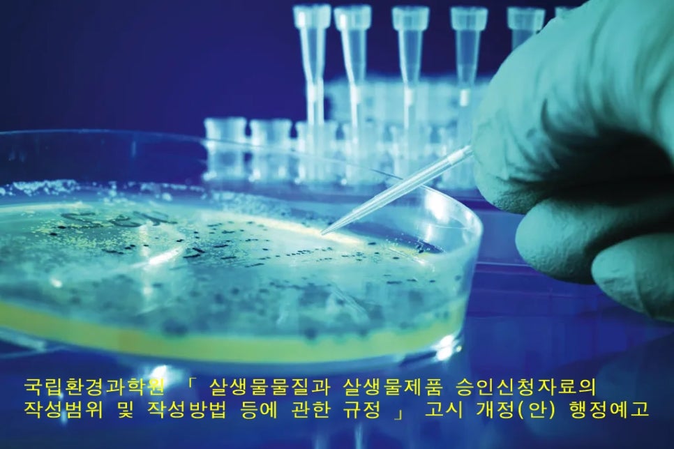 위즈덤행정사사무소 이미지