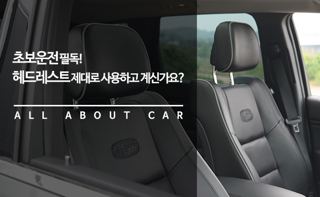 레스트그린 이미지