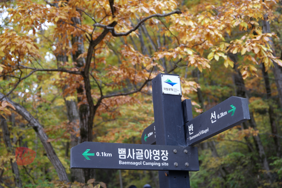 반선공용버스터미널 이미지