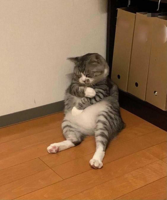 타임호프 이미지
