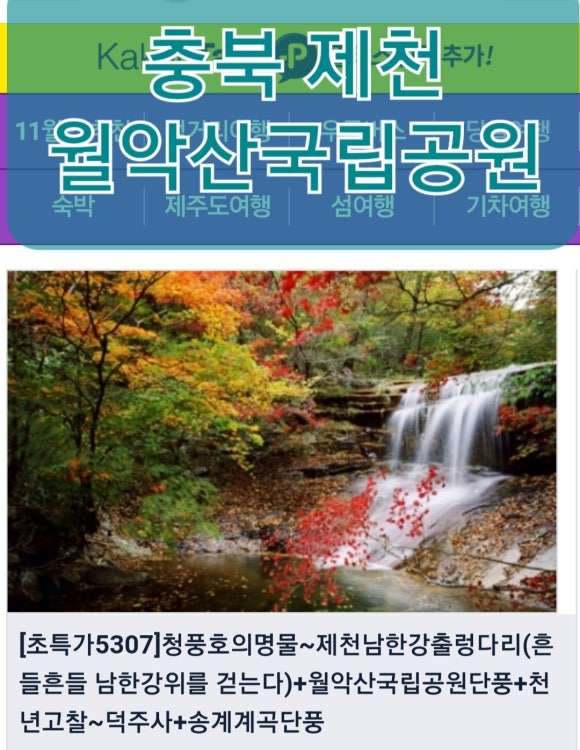 모인여행사 이미지