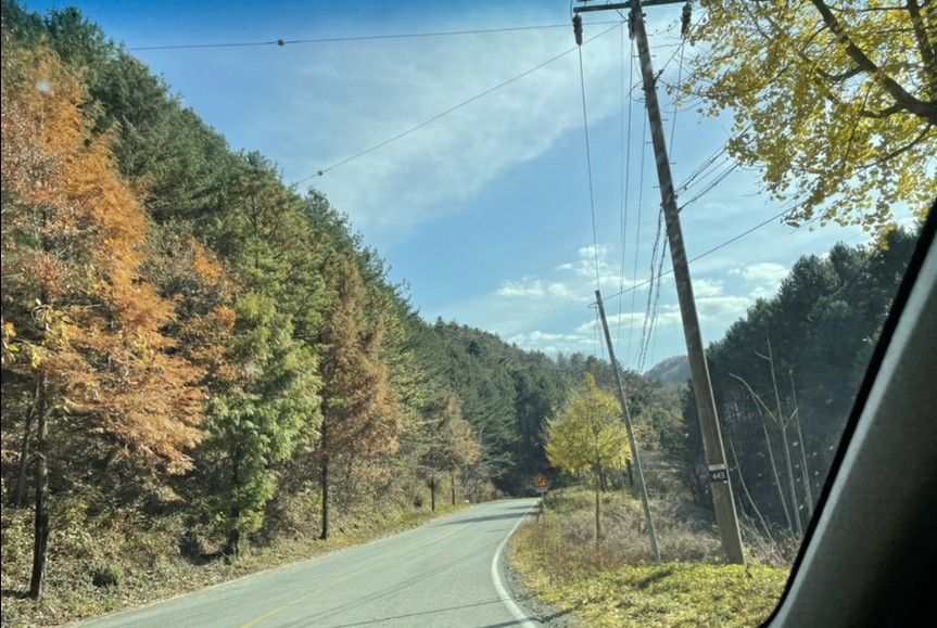 진악산오토캠핑장 이미지