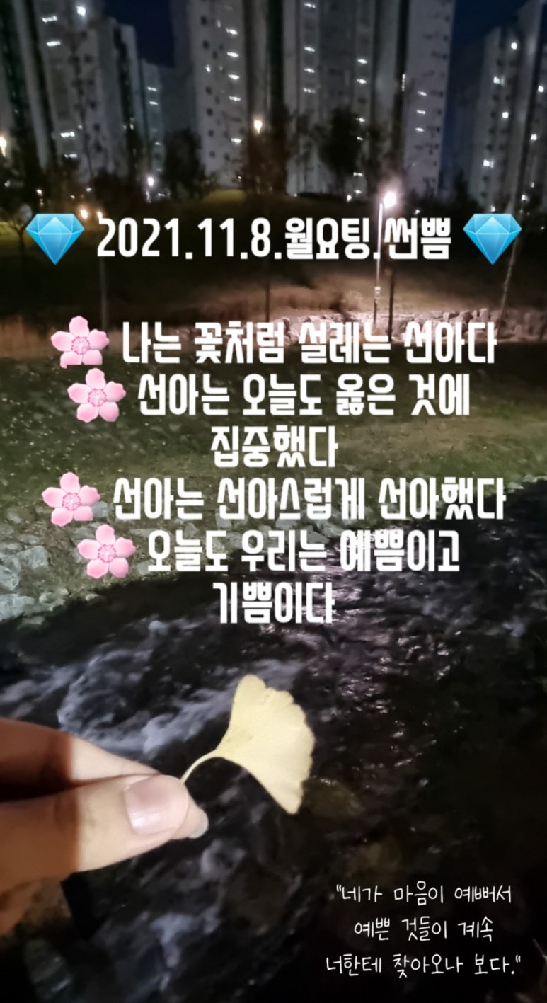 썬헤어클럽 이미지