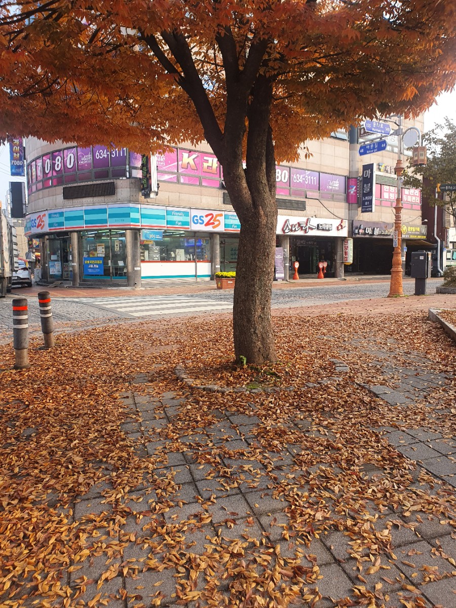 홍주한복 이미지