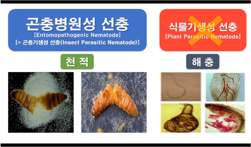 디디케이 이미지