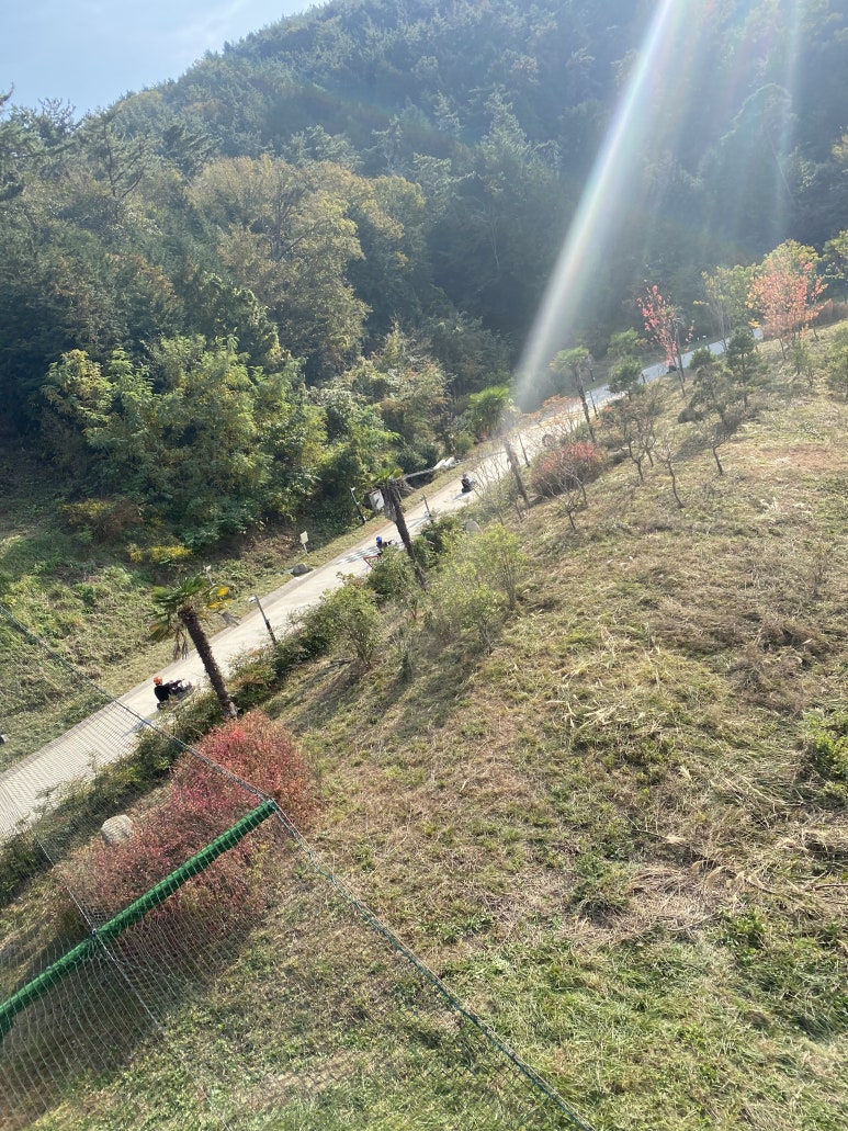 익스트림 루지 이미지