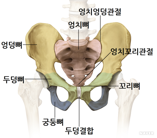도수명가 이미지