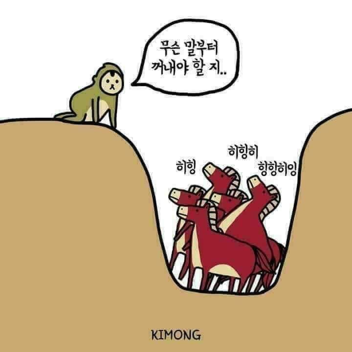 타미띠에 이미지