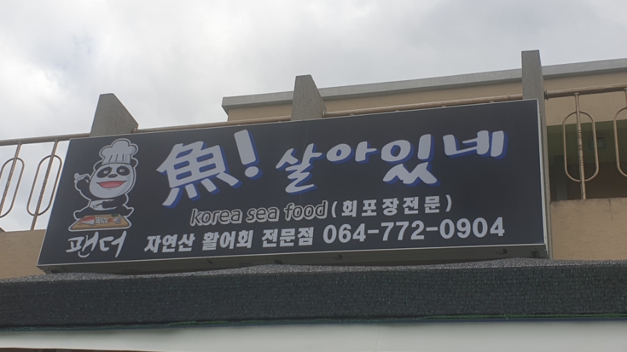 어살아있네 이미지
