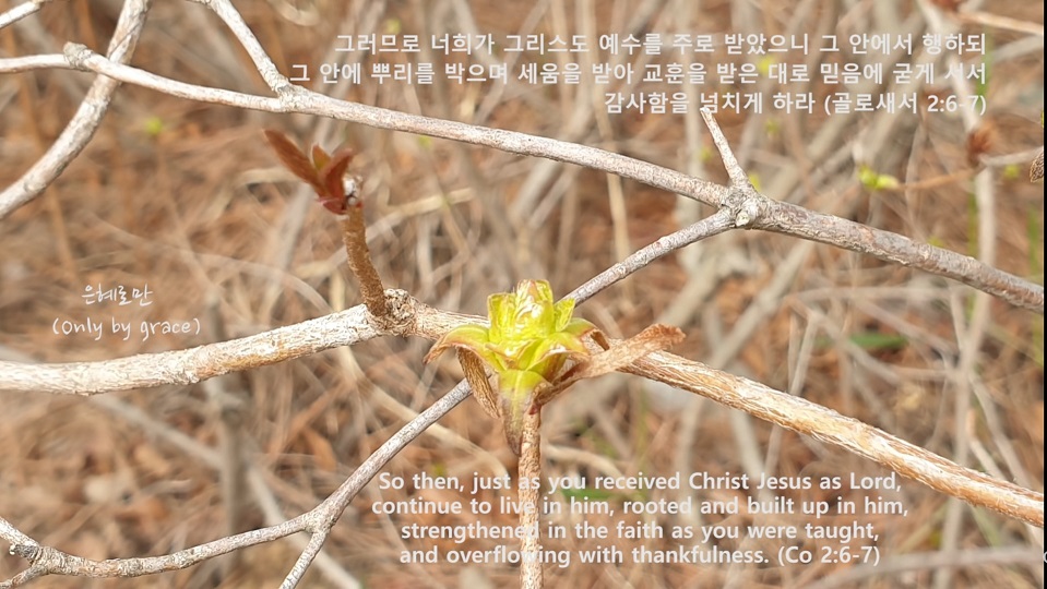 은혜환경주 이미지