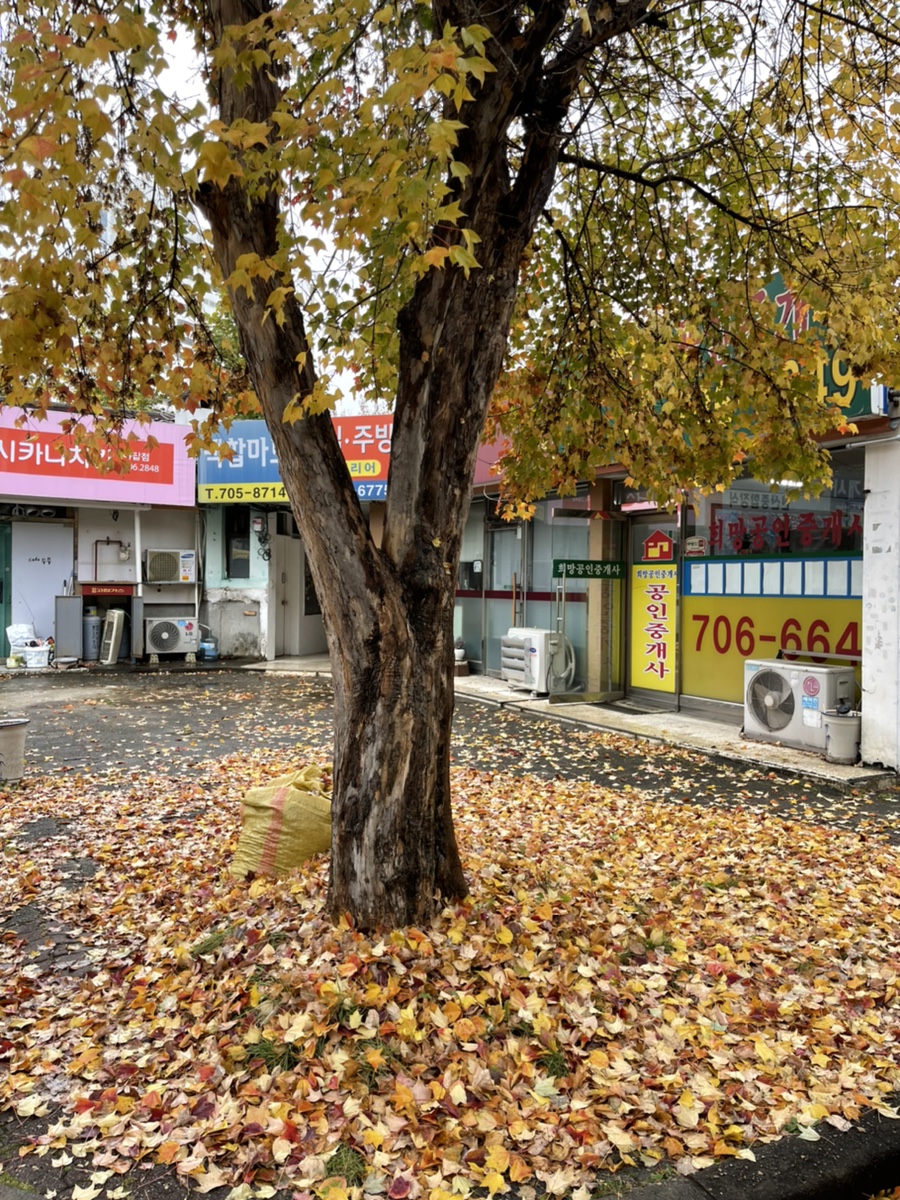 카페일분 야탑점 이미지