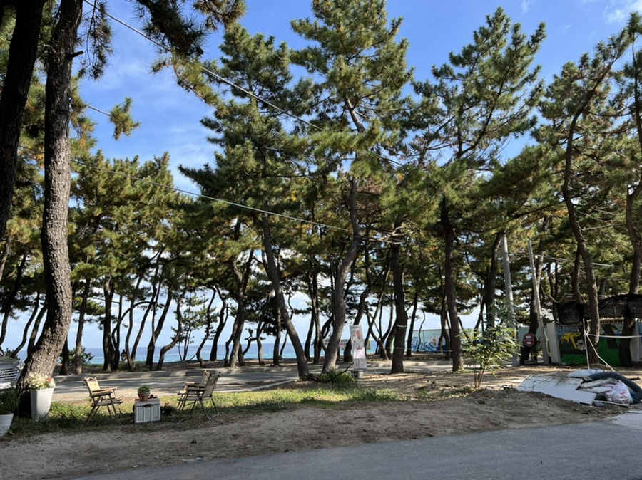 커피베이강릉송정해변점 이미지