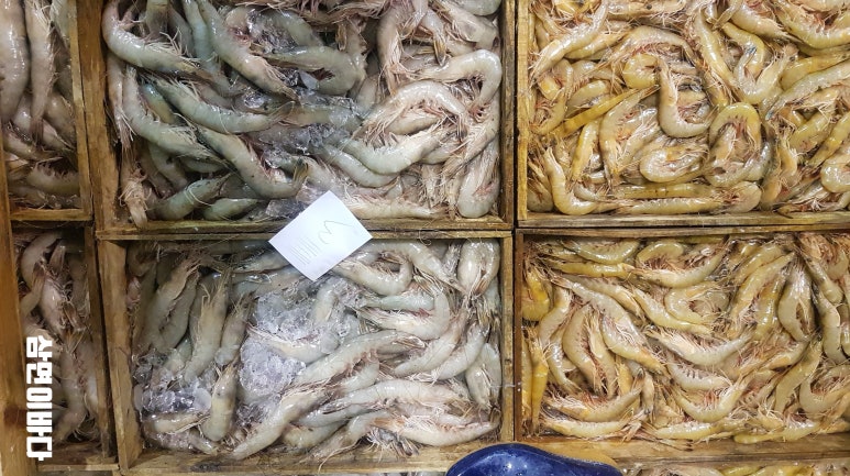 삼면이바다since1991 이미지