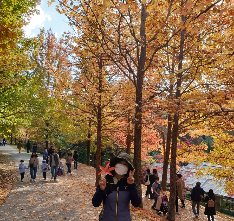 경상남도수목원 유아숲체험원 이미지
