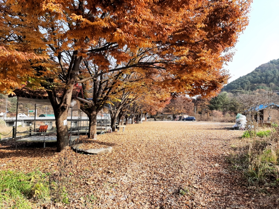 옥민박 이미지