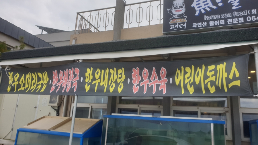 어살아있네 이미지