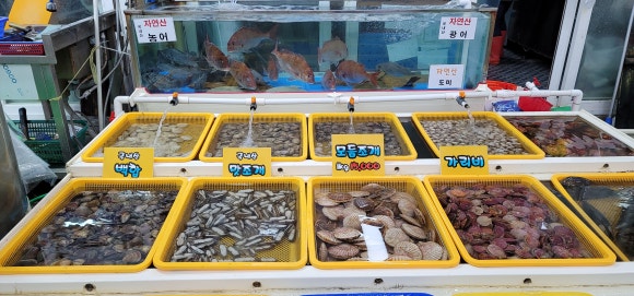 태안별빛오토캠핑장 이미지