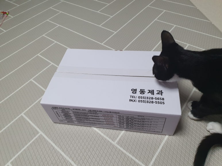 영동제과 이미지