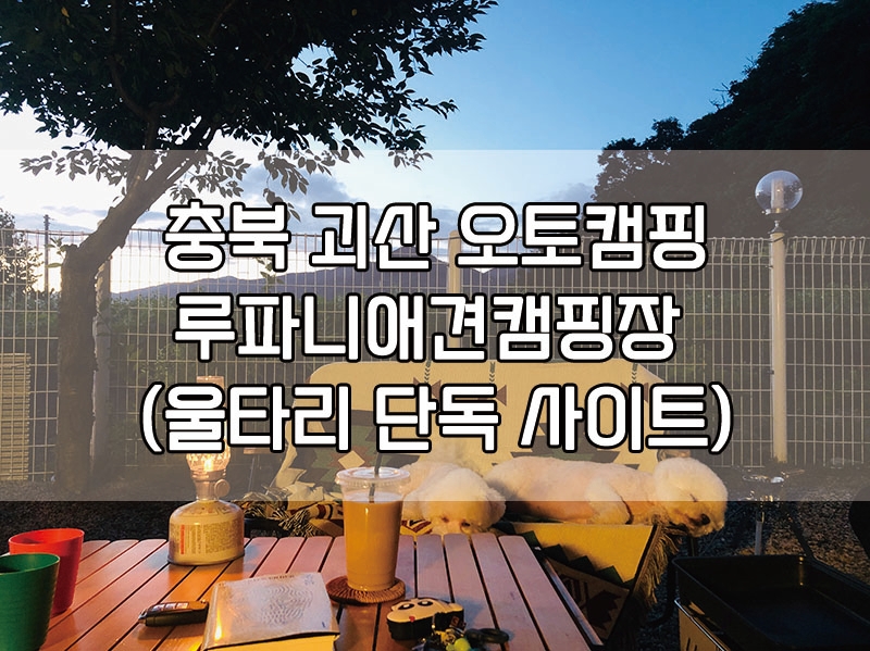 루파니애견캠핑장 이미지