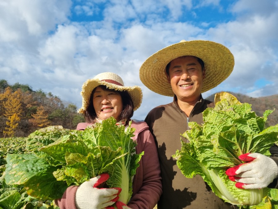 (주)햇터 이미지