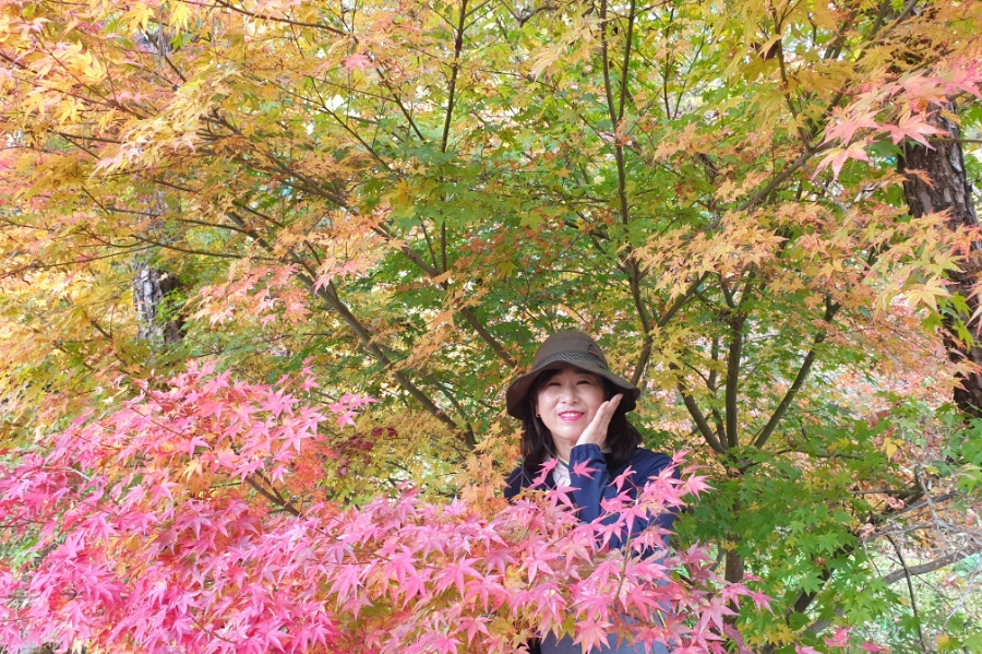 경상남도수목원 유아숲체험원 이미지